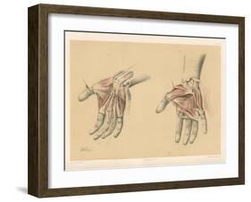 The Upper Limb. Superficial and Deep Views of the Palm of the Hand-G. H. Ford-Framed Giclee Print