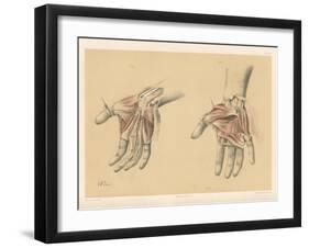 The Upper Limb. Superficial and Deep Views of the Palm of the Hand-G. H. Ford-Framed Giclee Print