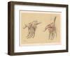 The Upper Limb. Superficial and Deep Views of the Palm of the Hand-G. H. Ford-Framed Giclee Print