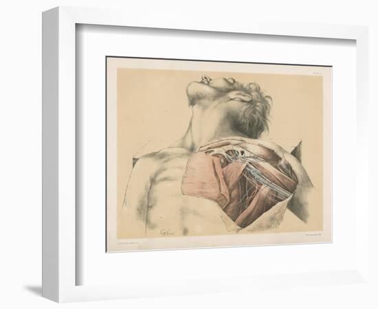 The Upper Limb. The Axillary Vessels, and the Brachial Plexus of Nerves, with their Branches-G. H. Ford-Framed Giclee Print