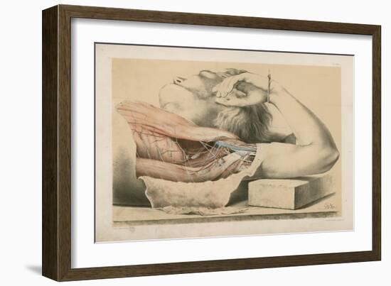 The Upper Limb. The Superficial Muscles of the Thorax, and the Axilla with its Contents-G. H. Ford-Framed Giclee Print