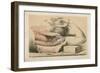 The Upper Limb. The Superficial Muscles of the Thorax, and the Axilla with its Contents-G. H. Ford-Framed Giclee Print