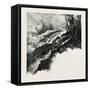 The Upper Ottawa, the Chats Falls, Canada, Nineteenth Century-null-Framed Stretched Canvas