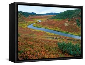 The Upper Shumnaya River Starts in the Caldera of the Uzon Volcano, Russia-Igor Shpilenok-Framed Stretched Canvas