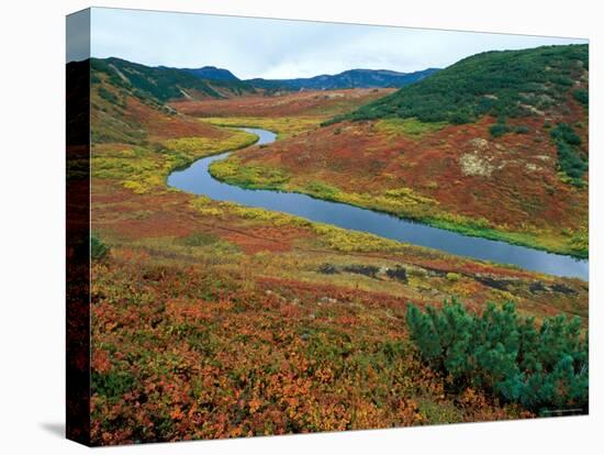 The Upper Shumnaya River Starts in the Caldera of the Uzon Volcano, Russia-Igor Shpilenok-Stretched Canvas