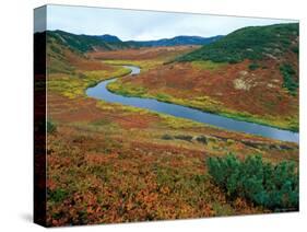 The Upper Shumnaya River Starts in the Caldera of the Uzon Volcano, Russia-Igor Shpilenok-Stretched Canvas