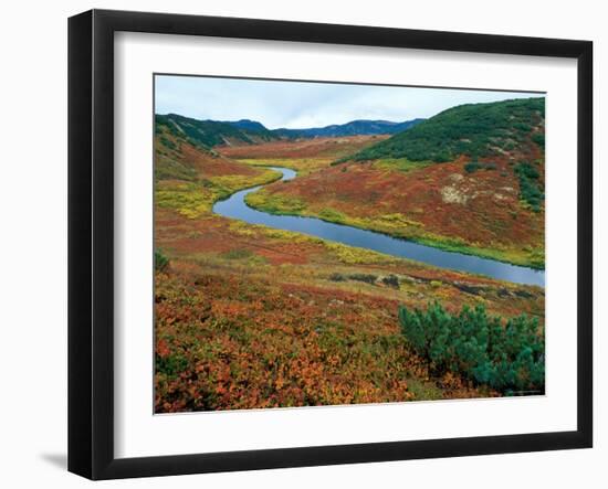 The Upper Shumnaya River Starts in the Caldera of the Uzon Volcano, Russia-Igor Shpilenok-Framed Photographic Print