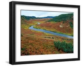 The Upper Shumnaya River Starts in the Caldera of the Uzon Volcano, Russia-Igor Shpilenok-Framed Photographic Print