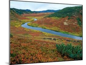 The Upper Shumnaya River Starts in the Caldera of the Uzon Volcano, Russia-Igor Shpilenok-Mounted Photographic Print