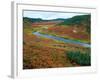 The Upper Shumnaya River Starts in the Caldera of the Uzon Volcano, Russia-Igor Shpilenok-Framed Photographic Print