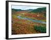 The Upper Shumnaya River Starts in the Caldera of the Uzon Volcano, Russia-Igor Shpilenok-Framed Photographic Print