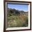 The Upper Tiber Valley-CM Dixon-Framed Photographic Print