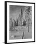 The Urals in winter-Russian Photographer-Framed Photographic Print