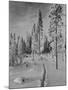 The Urals in winter-Russian Photographer-Mounted Photographic Print
