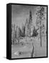 The Urals in winter-Russian Photographer-Framed Stretched Canvas