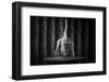 The Urbex Stage-Luc Stalmans-Framed Photographic Print