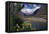 The Urubamba Valley, the River Continues Down the Gorge Past Machu Picchu, Peru, South America-Walter Rawlings-Framed Stretched Canvas