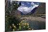 The Urubamba Valley, the River Continues Down the Gorge Past Machu Picchu, Peru, South America-Walter Rawlings-Mounted Photographic Print