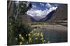 The Urubamba Valley, the River Continues Down the Gorge Past Machu Picchu, Peru, South America-Walter Rawlings-Stretched Canvas