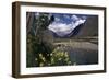 The Urubamba Valley, the River Continues Down the Gorge Past Machu Picchu, Peru, South America-Walter Rawlings-Framed Photographic Print