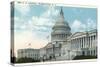 The US Capitol-null-Stretched Canvas