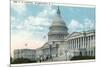 The US Capitol-null-Mounted Art Print