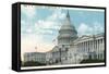 The US Capitol-null-Framed Stretched Canvas