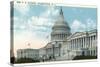 The US Capitol-null-Stretched Canvas
