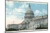 The US Capitol-null-Mounted Art Print