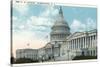 The US Capitol-null-Stretched Canvas