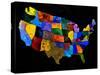 The Usa 22-Pol Ledent-Stretched Canvas