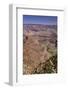 The USA, Arizona, Grand canyon National Park, South Rim, Bright Angel Trail-Udo Siebig-Framed Photographic Print