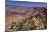 The USA, Arizona, Grand canyon National Park, South Rim, Desert View-Udo Siebig-Mounted Photographic Print