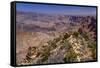 The USA, Arizona, Grand canyon National Park, South Rim, Desert View-Udo Siebig-Framed Stretched Canvas