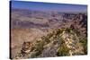 The USA, Arizona, Grand canyon National Park, South Rim, Desert View-Udo Siebig-Stretched Canvas