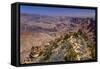The USA, Arizona, Grand canyon National Park, South Rim, Desert View-Udo Siebig-Framed Stretched Canvas