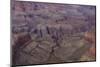 The USA, Arizona, Grand canyon National Park, South Rim, Hopi Point-Udo Siebig-Mounted Photographic Print