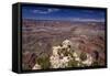 The USA, Arizona, Grand canyon National Park, South Rim, Mather Point-Udo Siebig-Framed Stretched Canvas