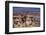 The USA, Arizona, Grand canyon National Park, South Rim, Mather Point-Udo Siebig-Framed Photographic Print