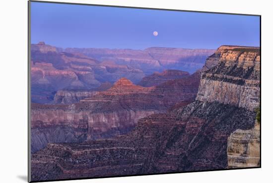 The USA, Arizona, Grand canyon National Park, South Rim, Powell Point, Evening mood, moonrise-Udo Siebig-Mounted Photographic Print