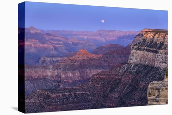 The USA, Arizona, Grand canyon National Park, South Rim, Powell Point, Evening mood, moonrise-Udo Siebig-Stretched Canvas