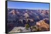 The USA, Arizona, Grand canyon National Park, South Rim, Powell Point-Udo Siebig-Framed Stretched Canvas