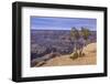 The USA, Arizona, Grand canyon National Park, South Rim, Powell Point-Udo Siebig-Framed Photographic Print