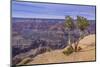 The USA, Arizona, Grand canyon National Park, South Rim, Powell Point-Udo Siebig-Mounted Photographic Print