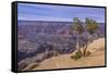 The USA, Arizona, Grand canyon National Park, South Rim, Powell Point-Udo Siebig-Framed Stretched Canvas