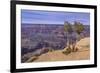 The USA, Arizona, Grand canyon National Park, South Rim, Powell Point-Udo Siebig-Framed Photographic Print