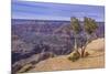 The USA, Arizona, Grand canyon National Park, South Rim, Powell Point-Udo Siebig-Mounted Photographic Print