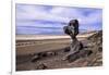 The USA, California, Death Valley National Park, Hoodoo in the Bad Water Road close Golden canyon-Udo Siebig-Framed Photographic Print