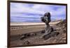 The USA, California, Death Valley National Park, Hoodoo in the Bad Water Road close Golden canyon-Udo Siebig-Framed Photographic Print