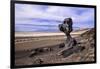 The USA, California, Death Valley National Park, Hoodoo in the Bad Water Road close Golden canyon-Udo Siebig-Framed Photographic Print